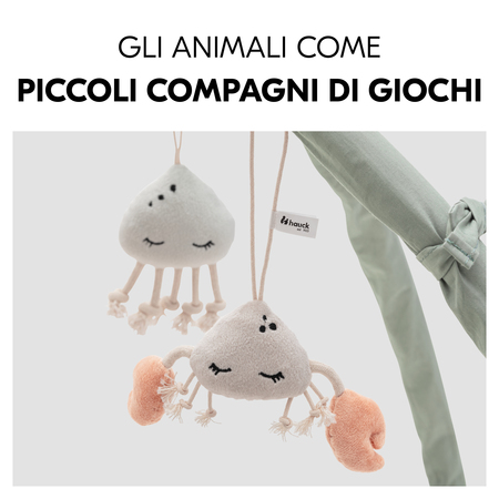 Animali come compagni di gioco