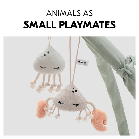 Little animal playmates