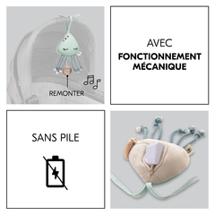 Avec mécanisme
