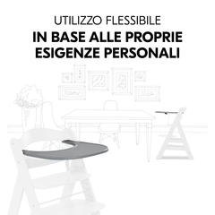 Permette di utilizzare l'Alpha+ in modo autonomo
