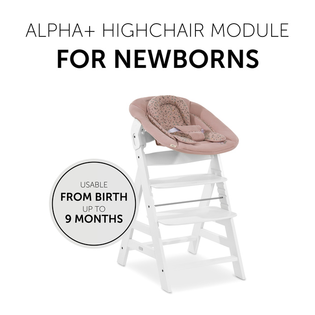 Alpha Bouncer 2 in 1  Bambi Rose