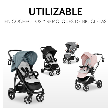 Para sillas de paseo y remolques para bicicleta