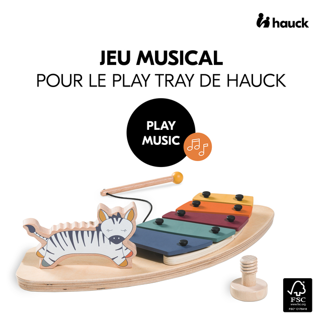 Play Music Zebra