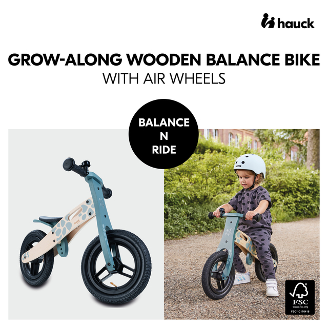Balance N Ride Turtle