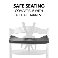 Safe seating in combination with the harness