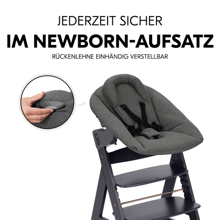 Hauck alpha plus newborn deluxe 2025