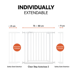 Expandable with separate extensions
