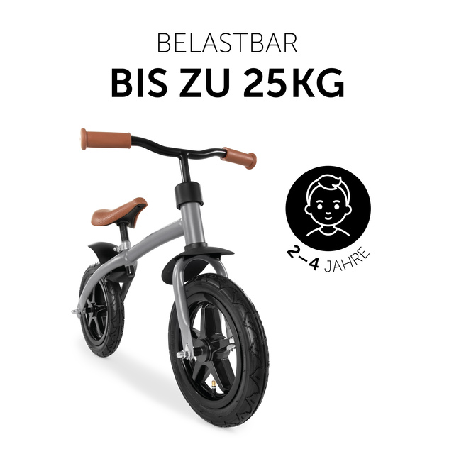 E Z Rider 12 Matt Grey