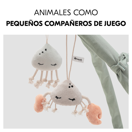 Animales que juegan contigo