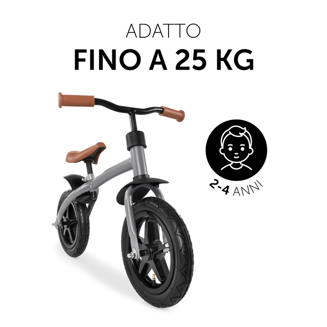 E Z Rider 12 Matt Grey