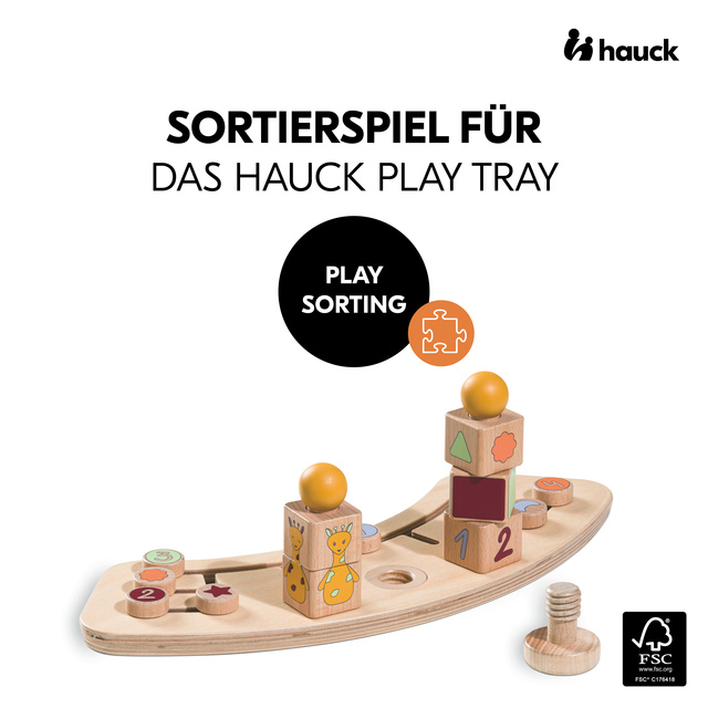 Play Sorting Giraffe