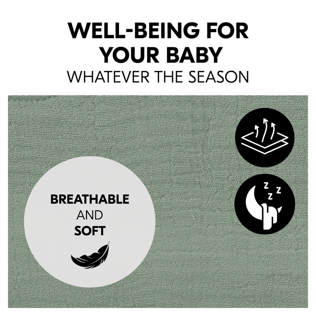 Baby Bouncer Cover Sage