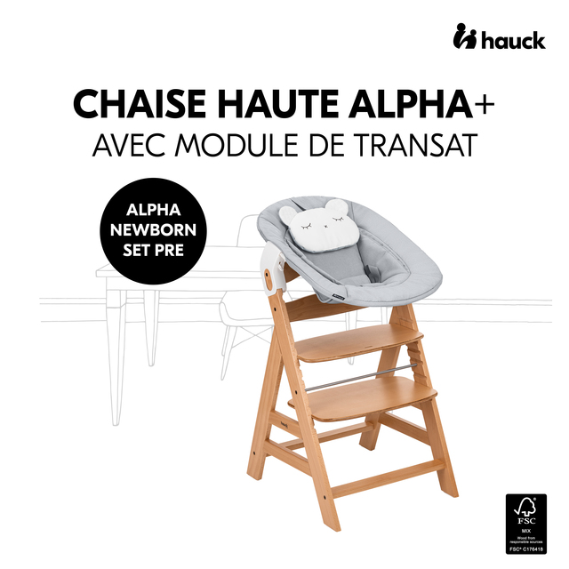 Alpha Newborn Set Pre  Nature Grey