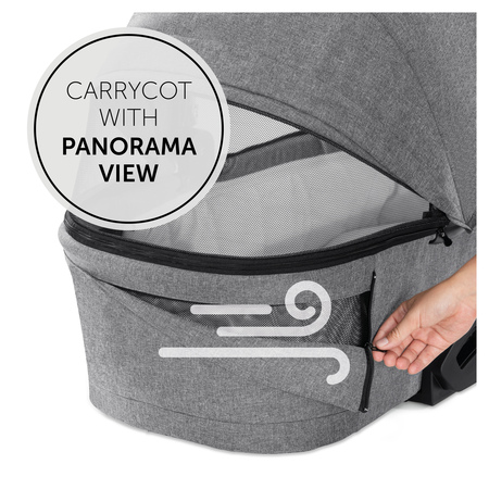 Carrycot with panorama view