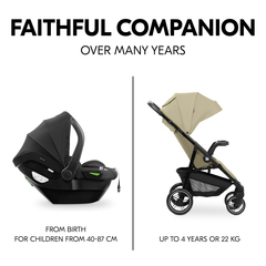 Faithful companions - for many years to come