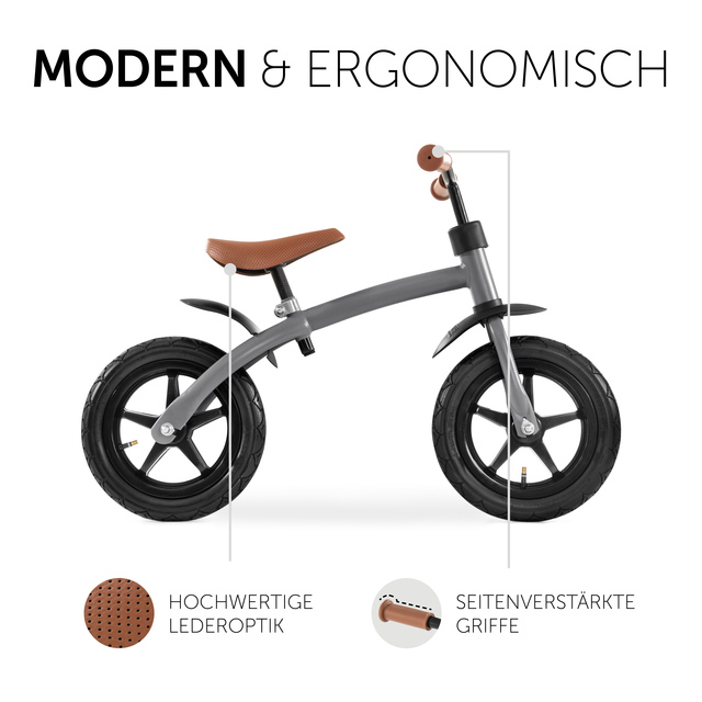 E Z Rider 12 Matt Grey