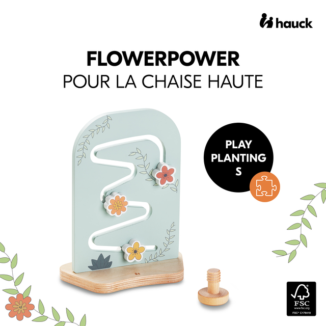 Play Planting S Flowers