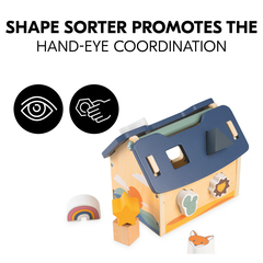 Shape sorter promotes hand-eye coordination