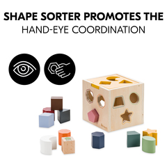 Shape sorter promotes hand-eye coordination